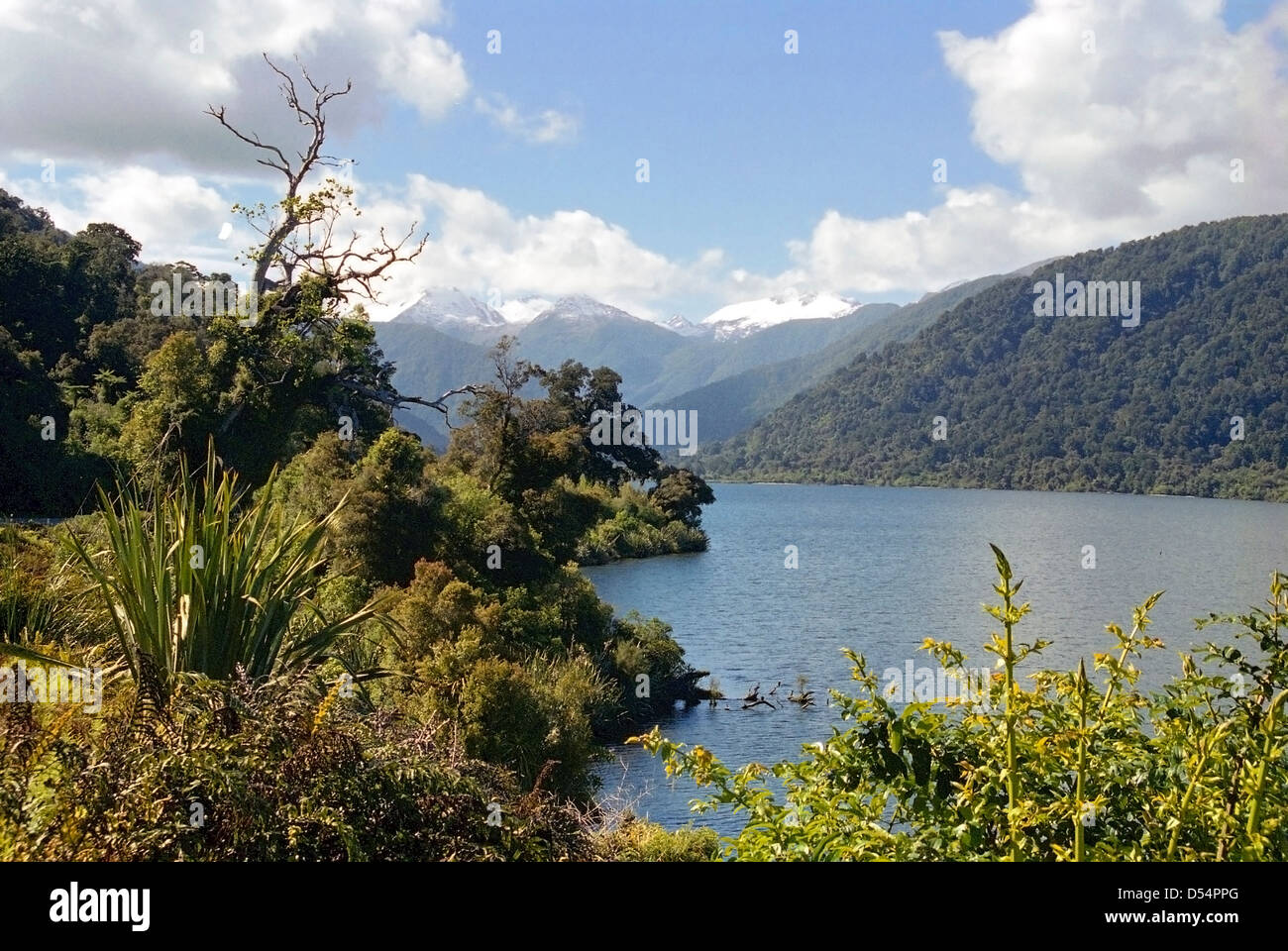 Lake Moeraki, Haast, West Coast, New Zealand Stockfoto