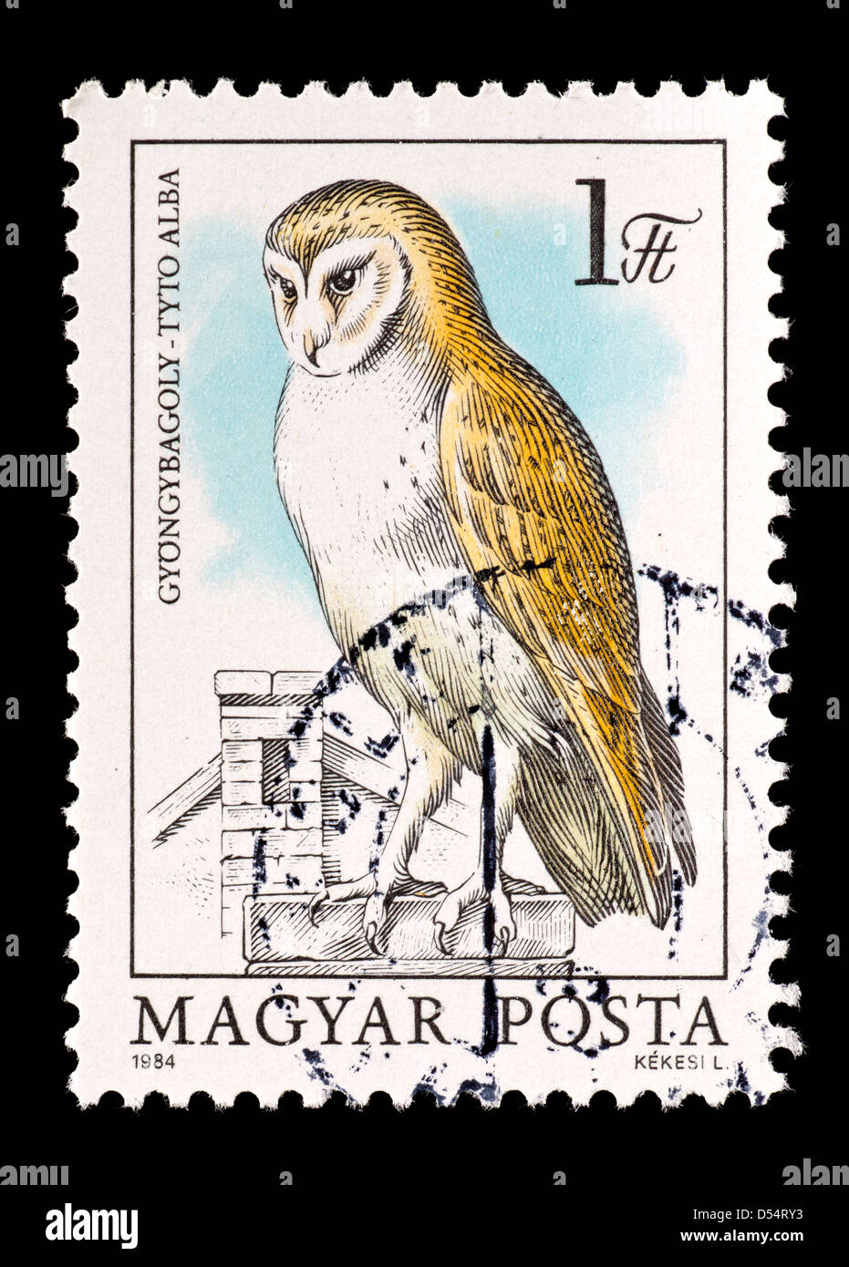 Briefmarke aus Ungarn Darstellung eine Schleiereule (Tyto Alb) Stockfoto