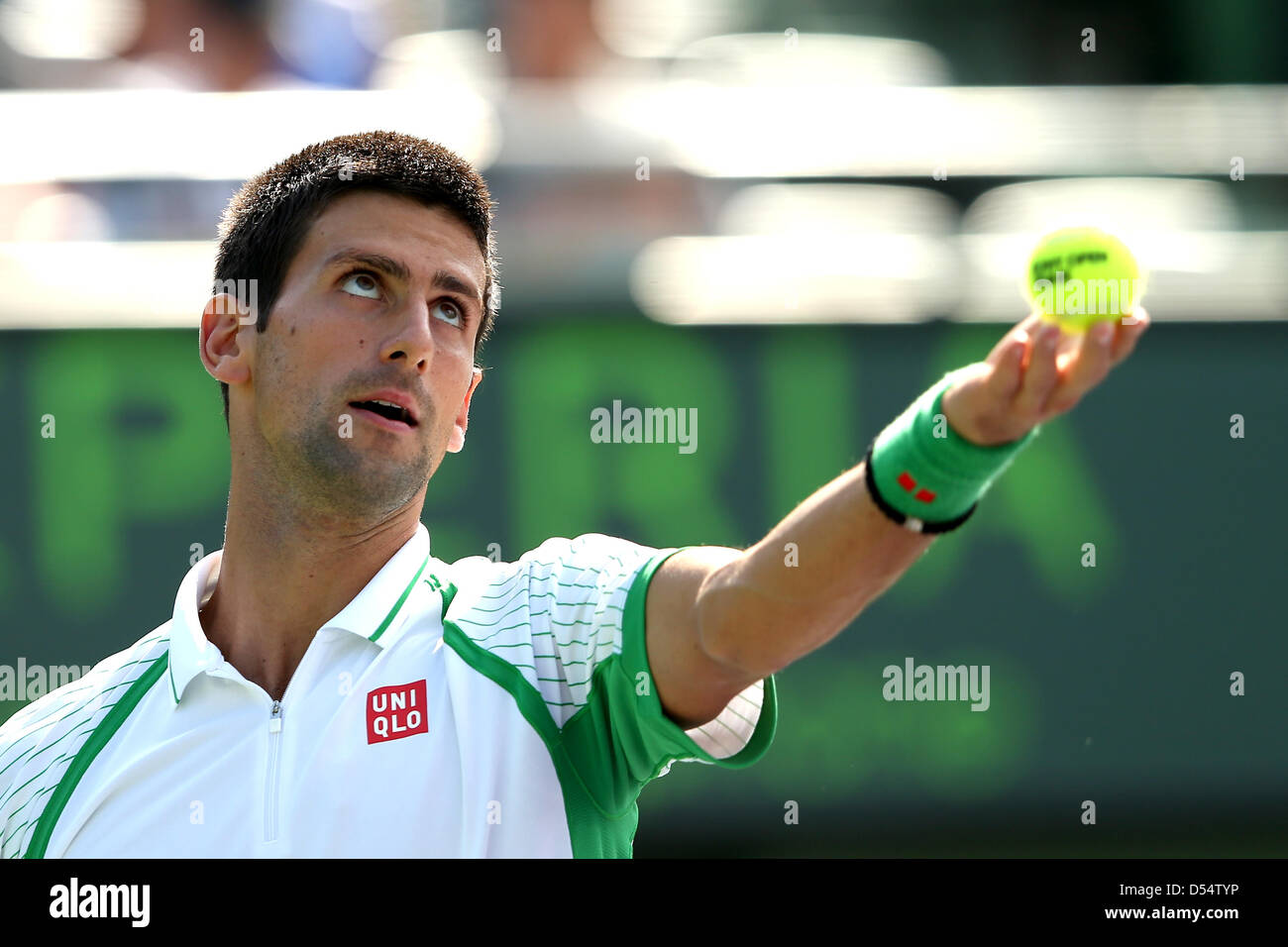 Miami, Florida, USA. 24. März 2013. Novak Djokovic Serbien bei der Sony Open 2013 in Aktion. Bildnachweis: Mauricio Paiz / Alamy Live News Stockfoto