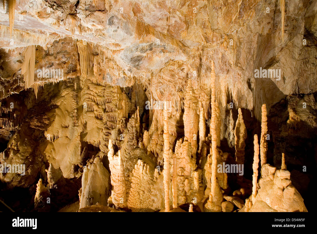 Grotte de Dargilan in der Nähe von Meyrueis, Languedoc, Frankreich Stockfoto