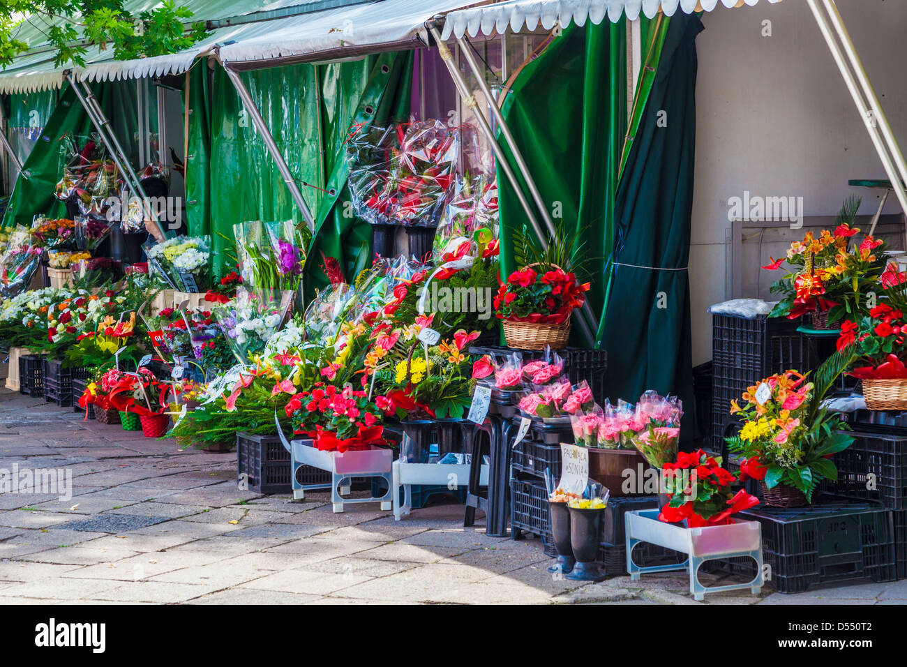 Eine Blume Stand außerhalb Hala Mirowska Markt in Warschau, Polen Stockfoto