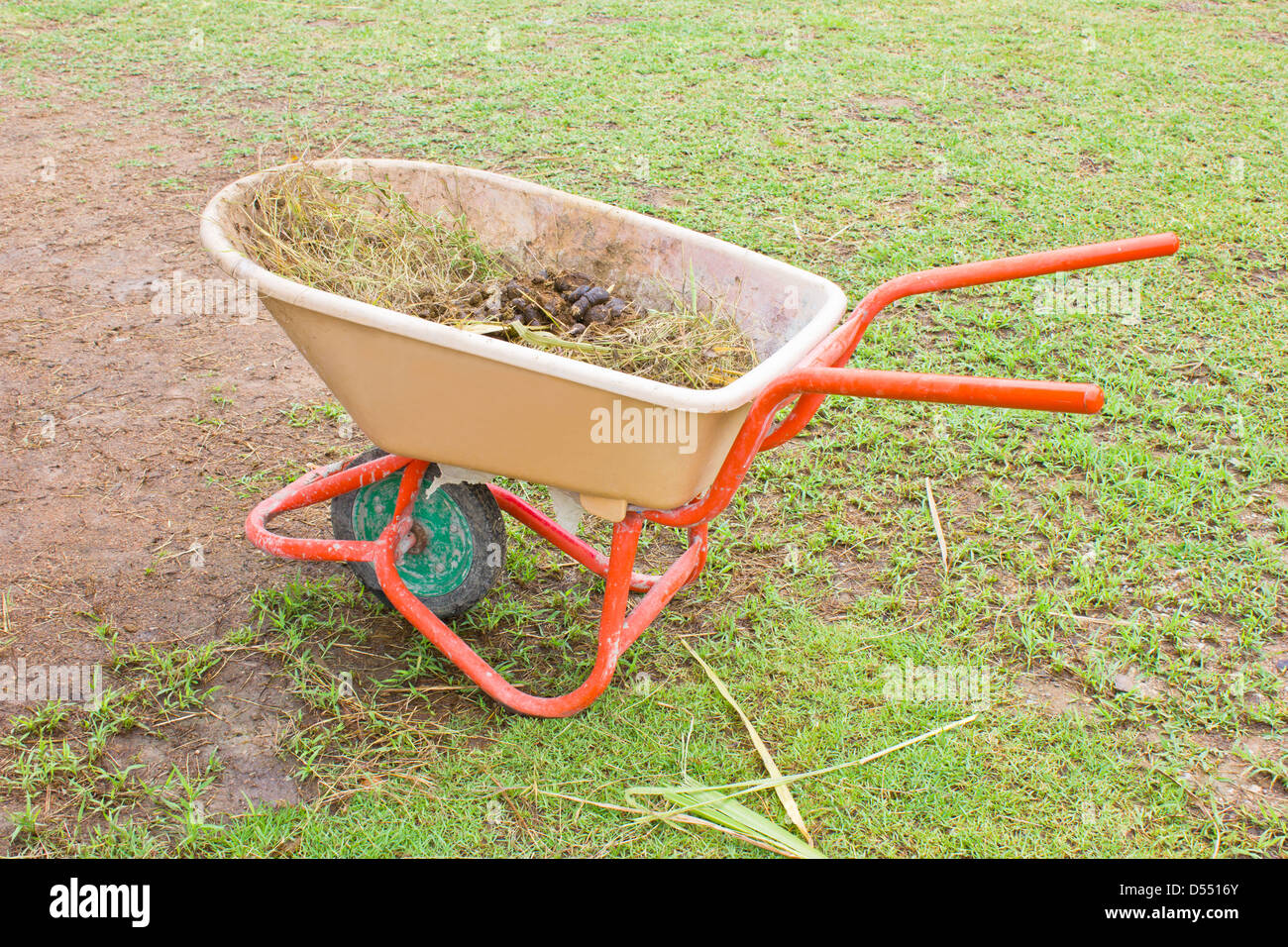Pferdemist im Trolley. Stockfoto