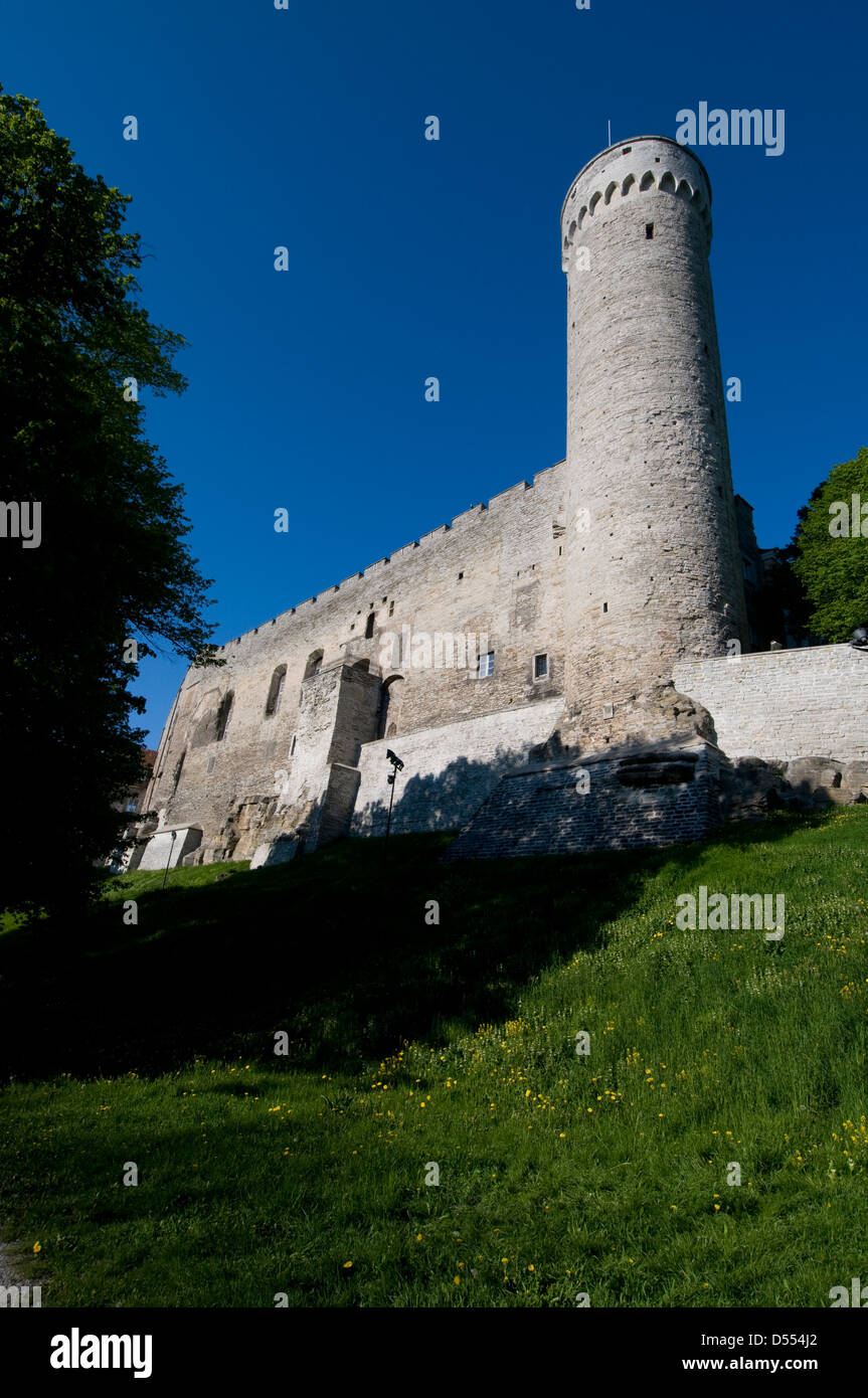 Der Pikk-Hermann-Turm, Teil der Burg Toompea, ist an das estnische Parlament in der Altstadt von Tallinn, Tallinn, Estland, angeschlossen Stockfoto