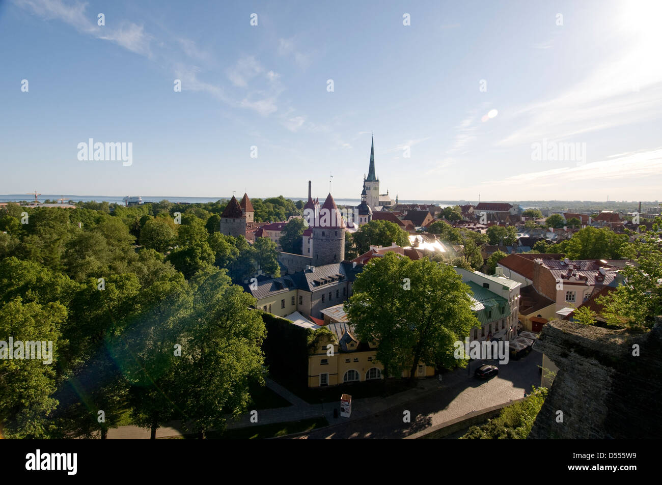 Skyline der Altstadt von Tallinn, Tallinn, Estland im Baltikum Stockfoto