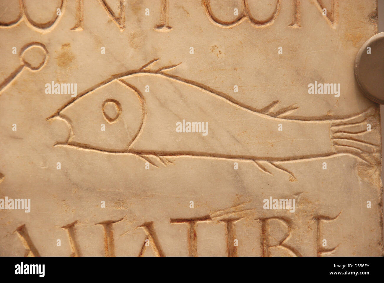 Frühe Christen. Römischer Grabstein Darstellung eines Fisches. Vatikan-Nekropole. Frühe 3. Jahrhundert A.D. Thermen des Diokletian. Stockfoto