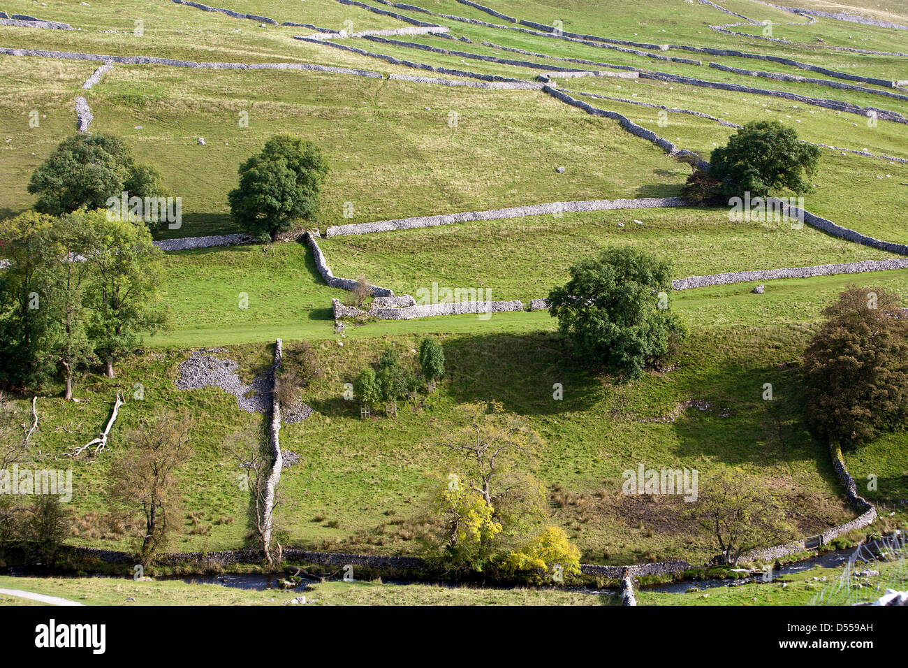 Stein eingemauert Felder im Frühherbst in der Nähe von Malham Cove über den Fluss Aire. Stockfoto