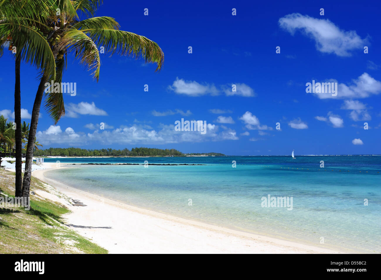 schöner Strand in Mauritius Insel mit Palmen und Meer Stockfoto