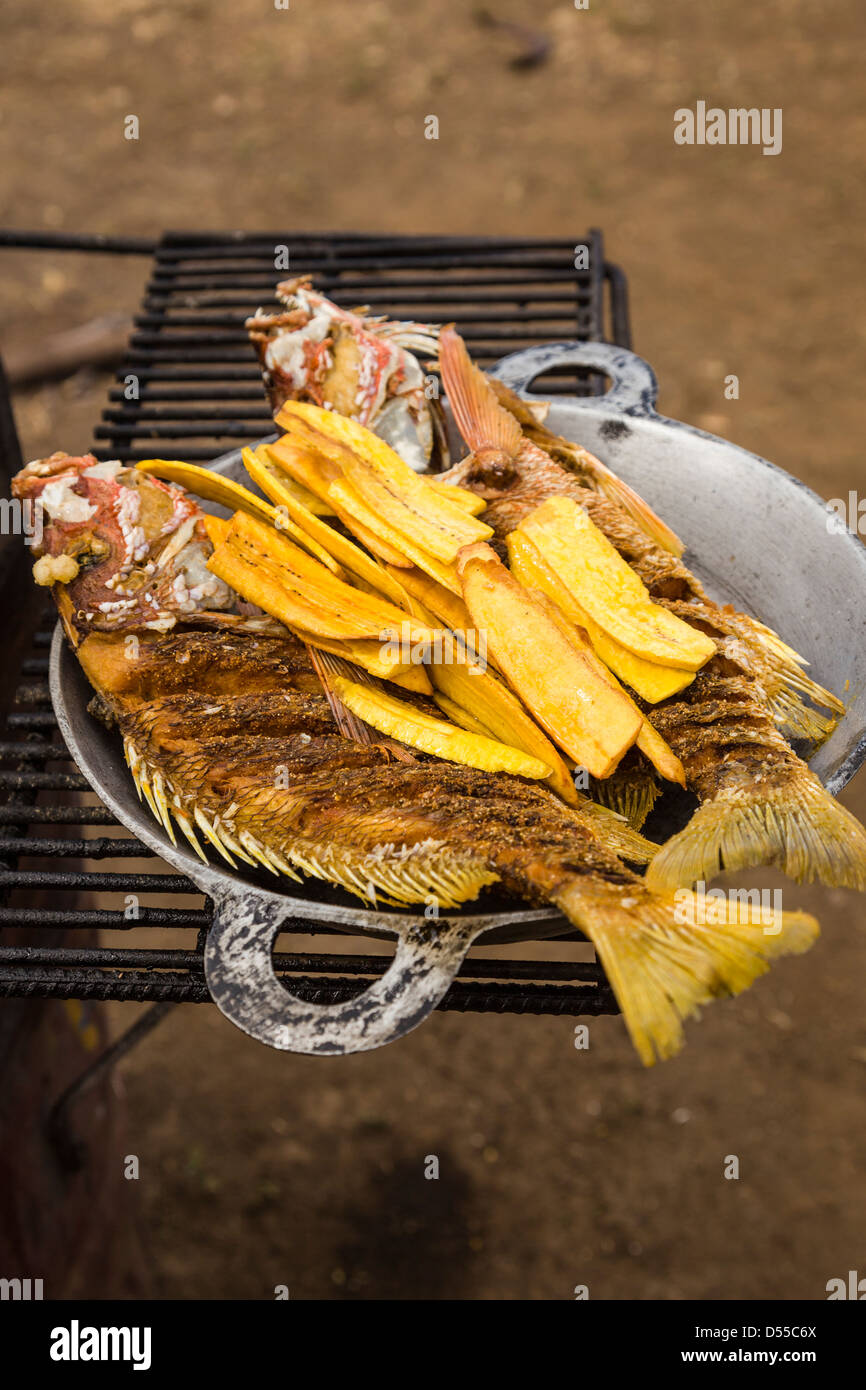 Teller mit Schnapper (Lutjanus Campechanus) frisch zubereitet in Ocotal Beach, Provinz Guanacaste, Costa Rica. Stockfoto