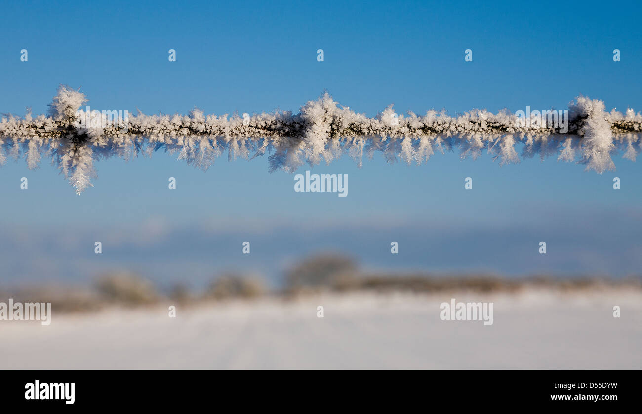 Raureif auf Stacheldraht mit blauem Himmel. Stockfoto