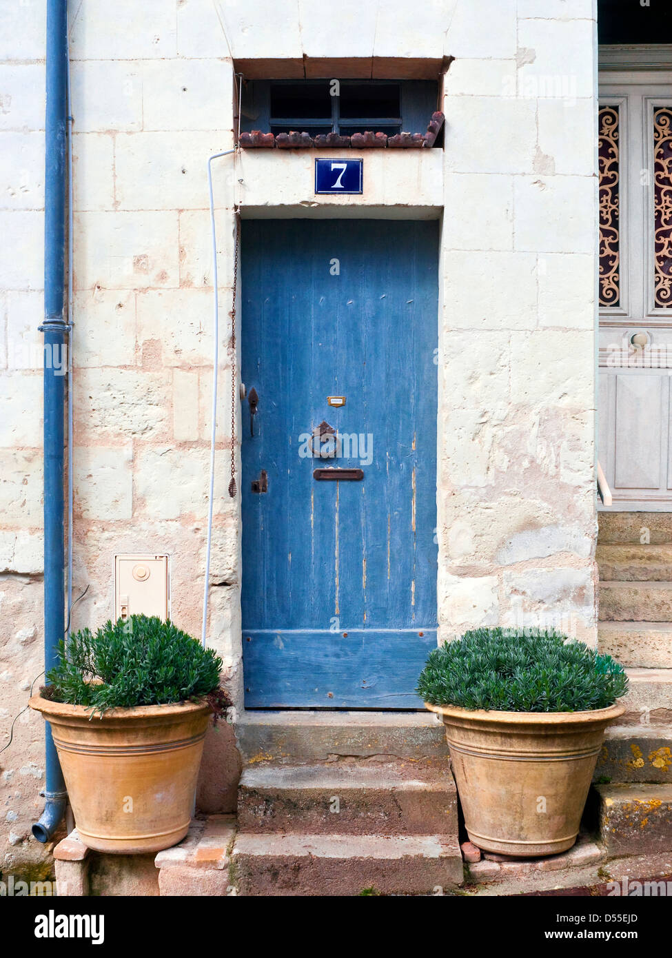 Blaue Eingangstür und großen Blumentöpfen - Frankreich. Stockfoto