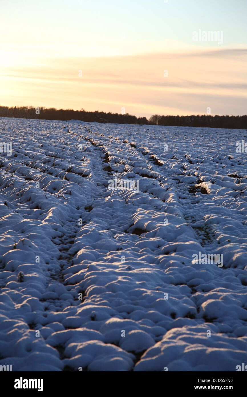 Ochtmannnsbruch, Deutschland, schneebedecktes Feld mit Bahnen Stockfoto