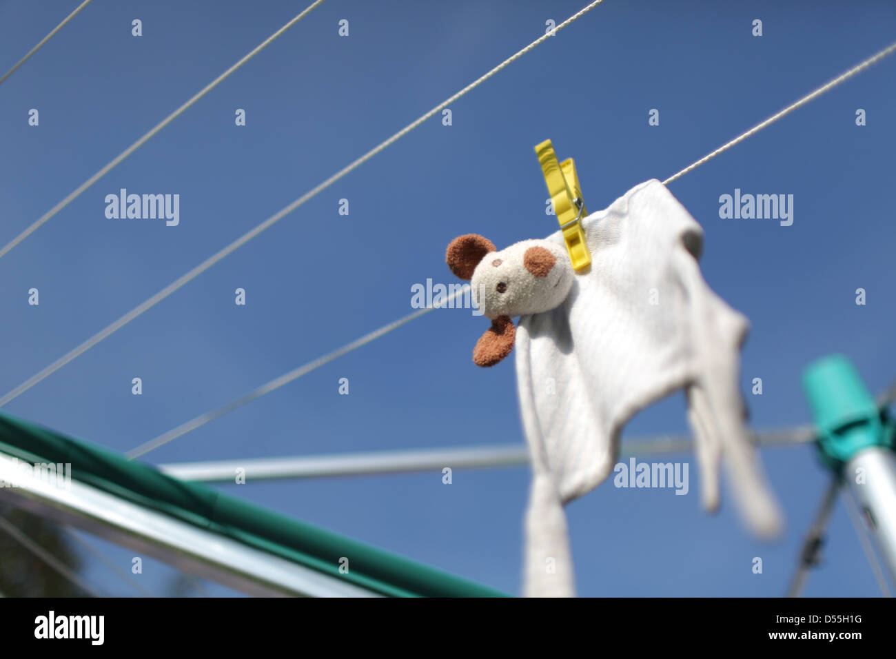 Handewitt, Deutschland, hängt ein Stofftier nach dem Waschen auf der Linie Stockfoto