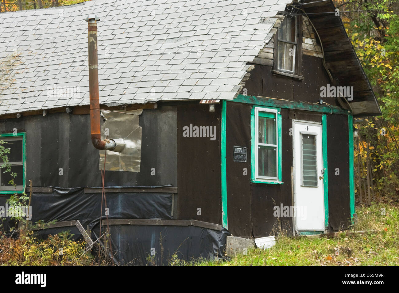 Alten Teer-Papier-Hütte im Wald. Stockfoto
