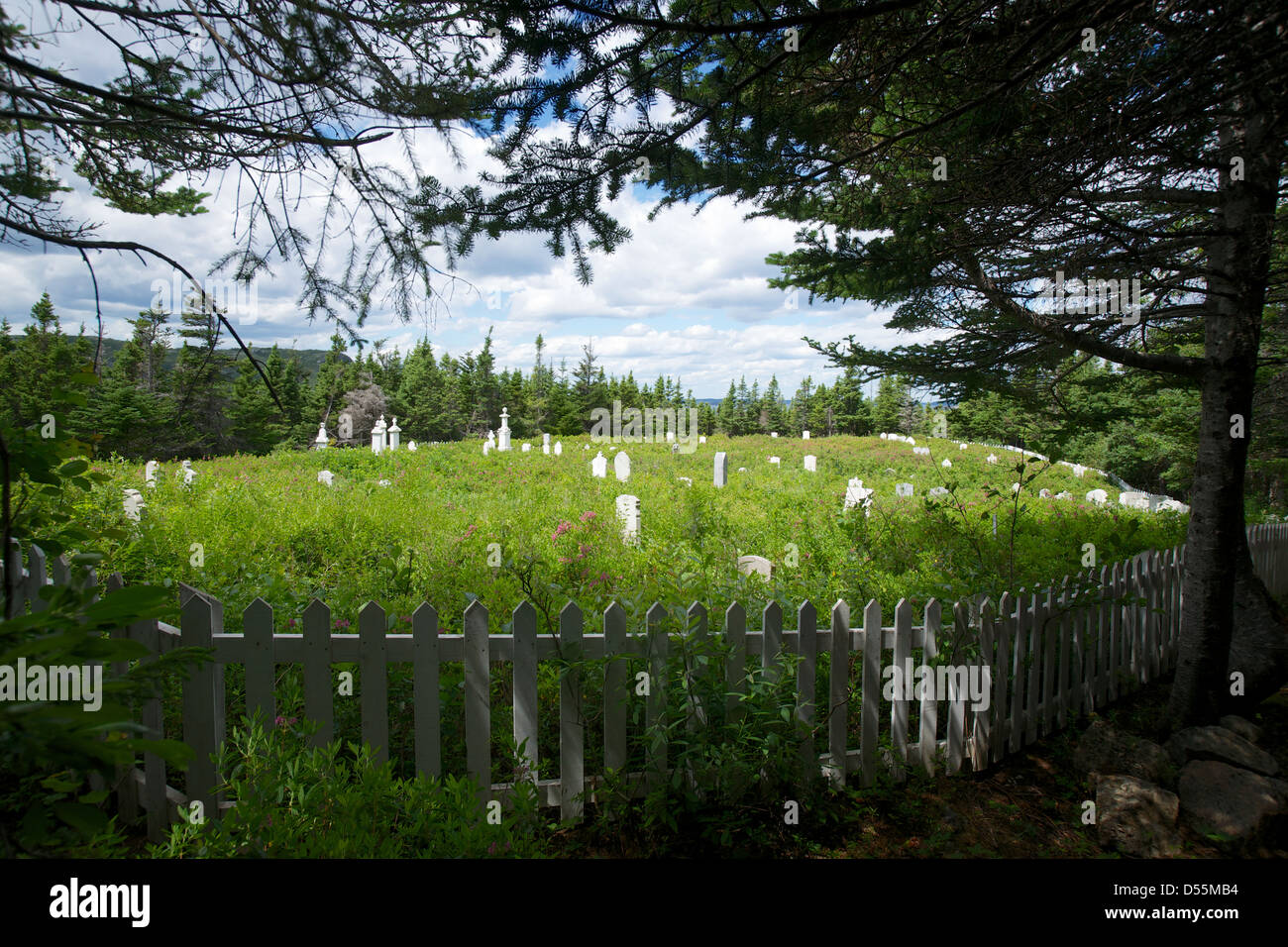 Einen überwucherten alten Friedhof entlang eines alten Trails of Salvage, Eastport Halbinsel Bonavista Bay Neufundland, Kanada. Stockfoto