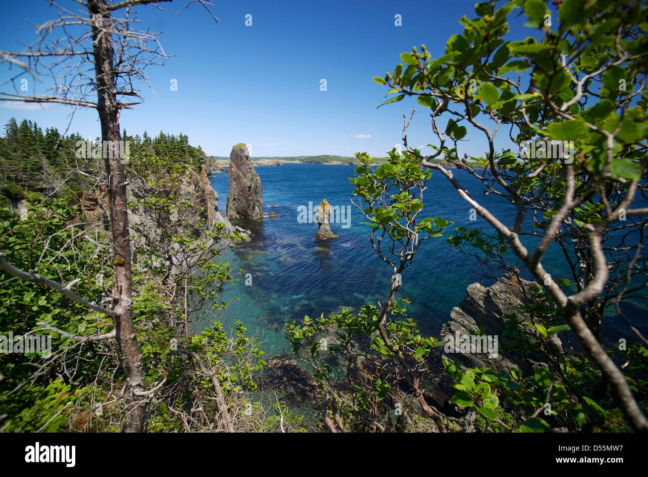 Ein Blick von der Skerwink Trail in der Nähe von Port Rexton und Trinity, Neufundland, Kanada. Stockfoto