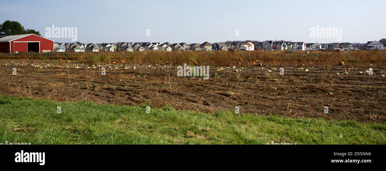 Panorama mit dem Vordringen der Stadtteilentwicklung Gehäuse und Landwirtschaft. Stockfoto