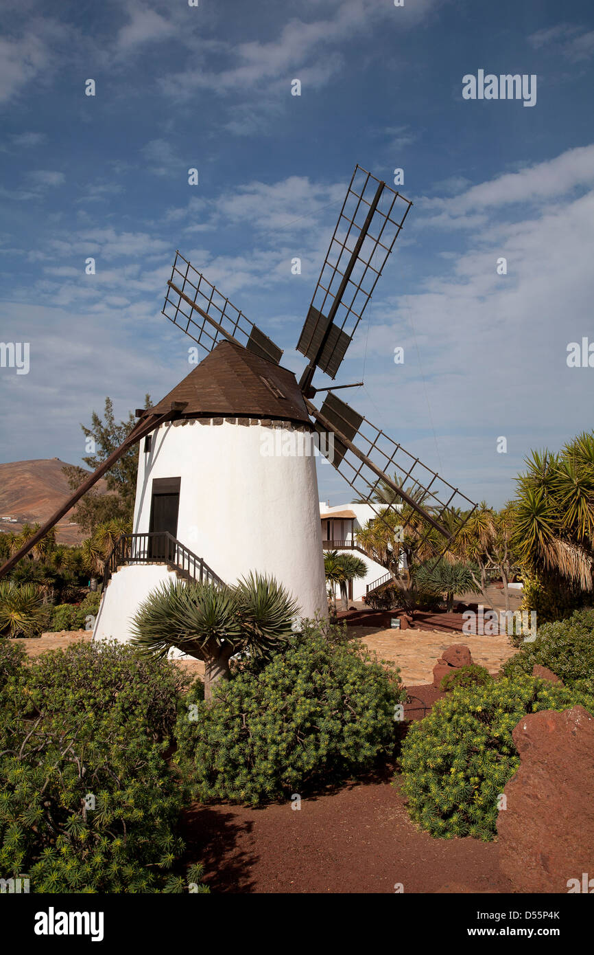 Antigua, Spanien, Windmühle Molino de Antigua auf der Kanarischen Insel Fuerteventura Stockfoto