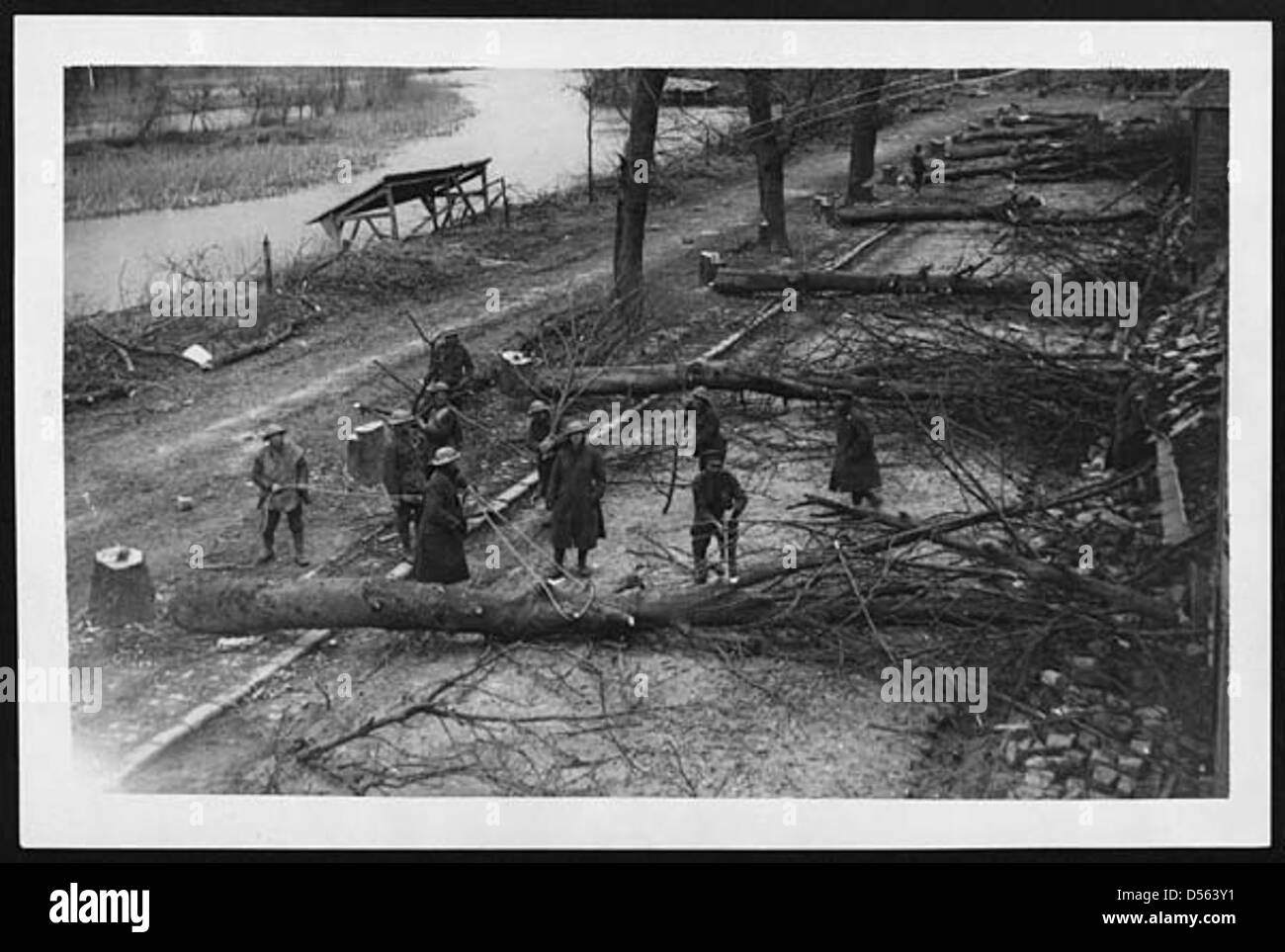 Bäume, die gefällt der Boche auf der anderen Straßenseite in Peronne Stockfoto