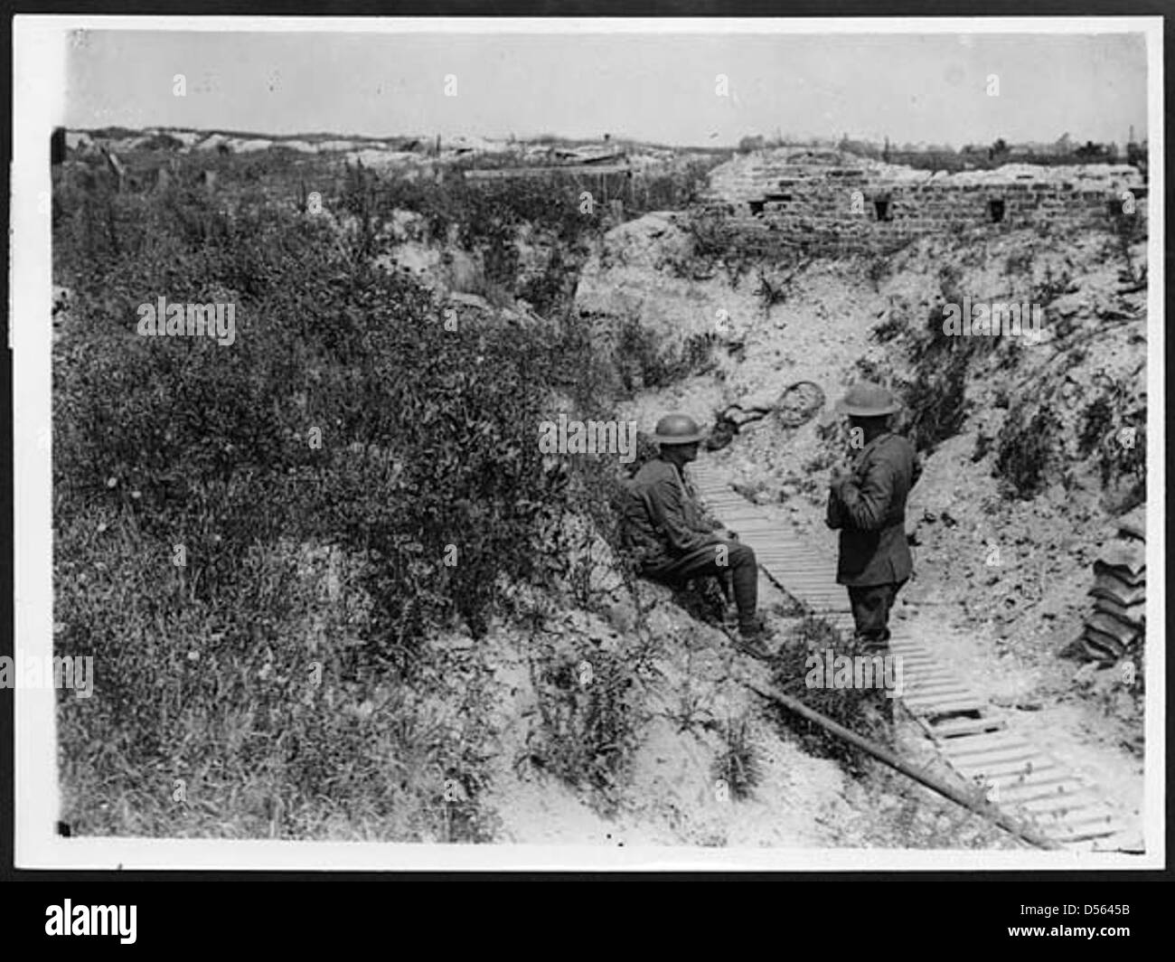 Wie Natur herrscht - Blumen überwuchert eine alte Frontlinie Deutsch Graben Stockfoto