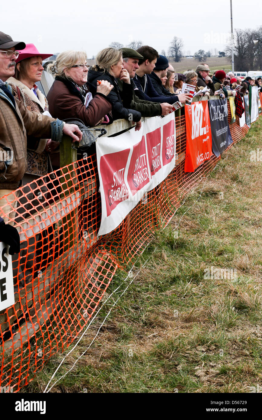 B J Geraghty und Bobs Wert feiern ihren Sieg in der Gold Cup am Cheltenham Festival 2013 Stockfoto