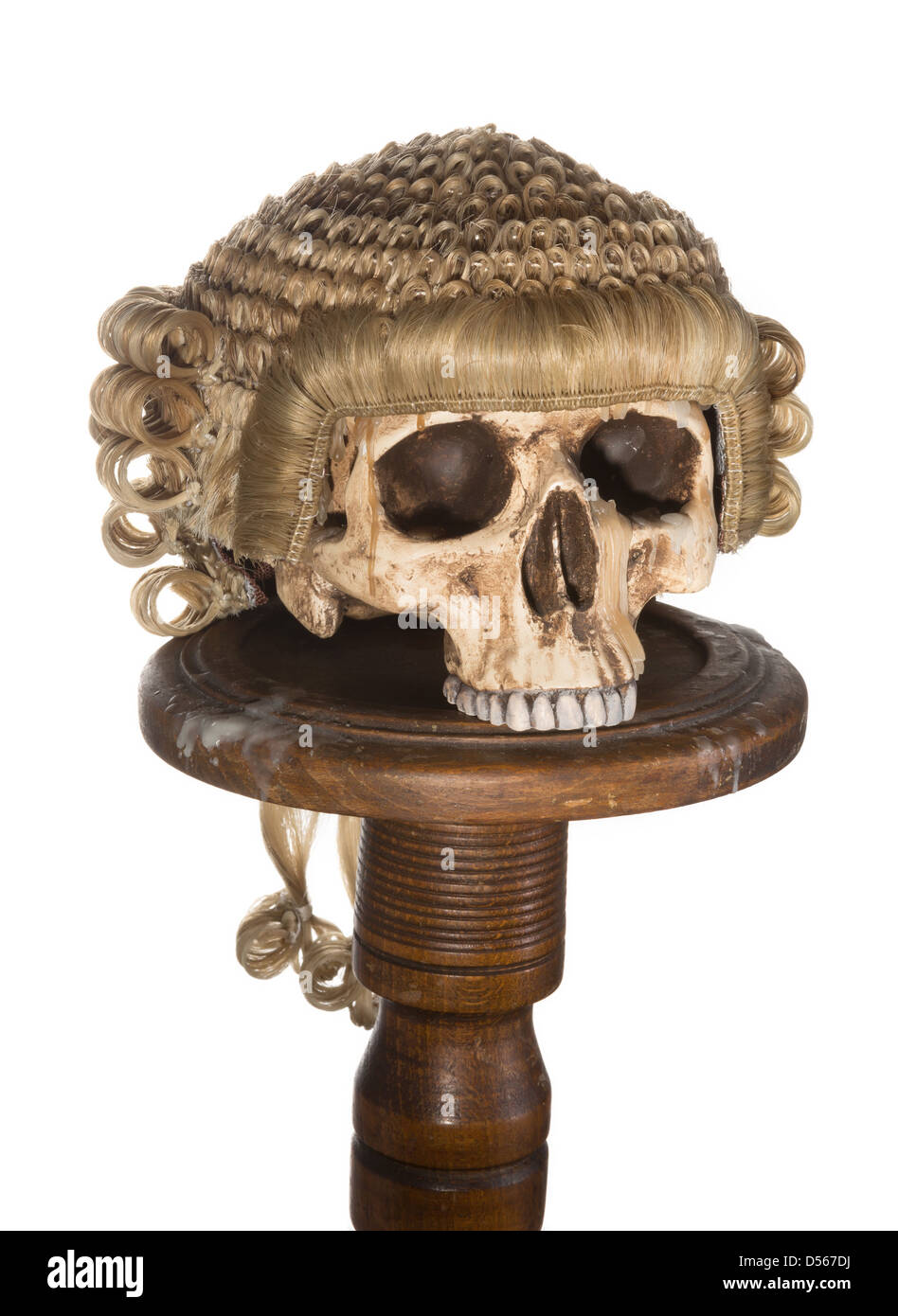 Echte Gericht Perücke isoliert auf eine gruselige Schädel Stockfoto