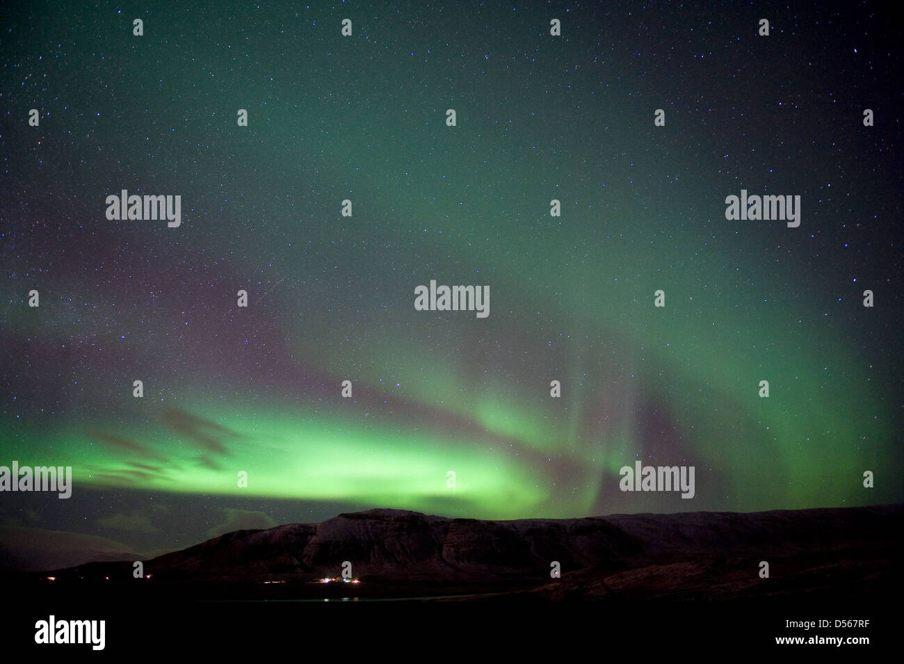 Die Aurora Borealis oder das Nordlicht nördlich von Reykjavik in Island Stockfoto