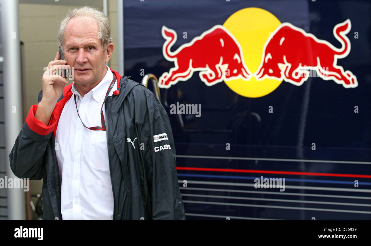 Red Bull Racing Motorsport-Berater Helmut Marko im Fahrerlager der Rennstrecke Autodromo Jose Carlos Pace Interlagos, Sao Paulo, SP, Brasilien, 6. November 2010. Die 2010 findet am 7. November 2010 Formel 1 Grand Prix von Brasilien, das letzte aber One-Rennen der Formel1 Saison 2010, statt. Foto: Jan Woitas Stockfoto