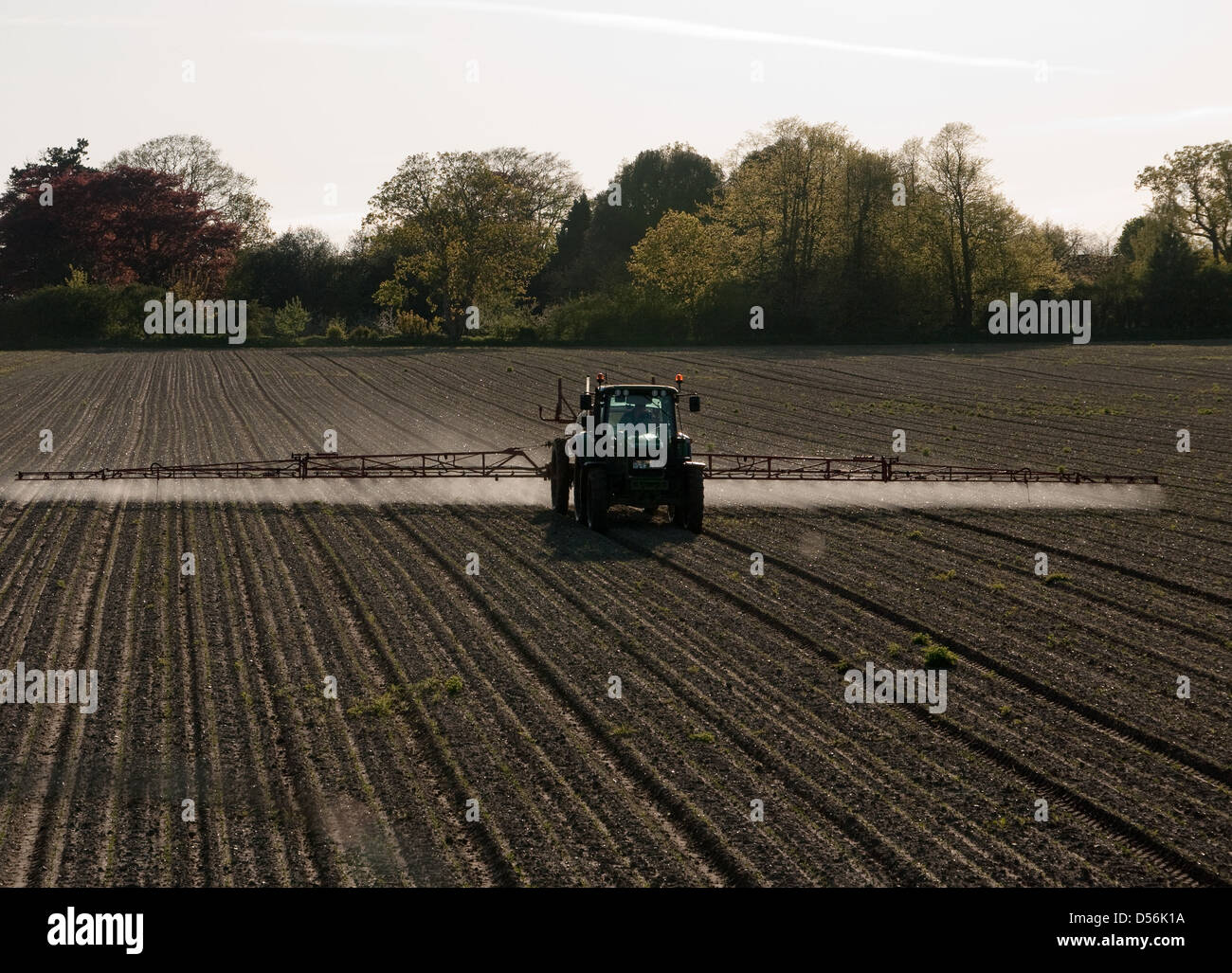 Landgestützte Traktor Feld Ernte Spritzen in East Anglia, England Stockfoto