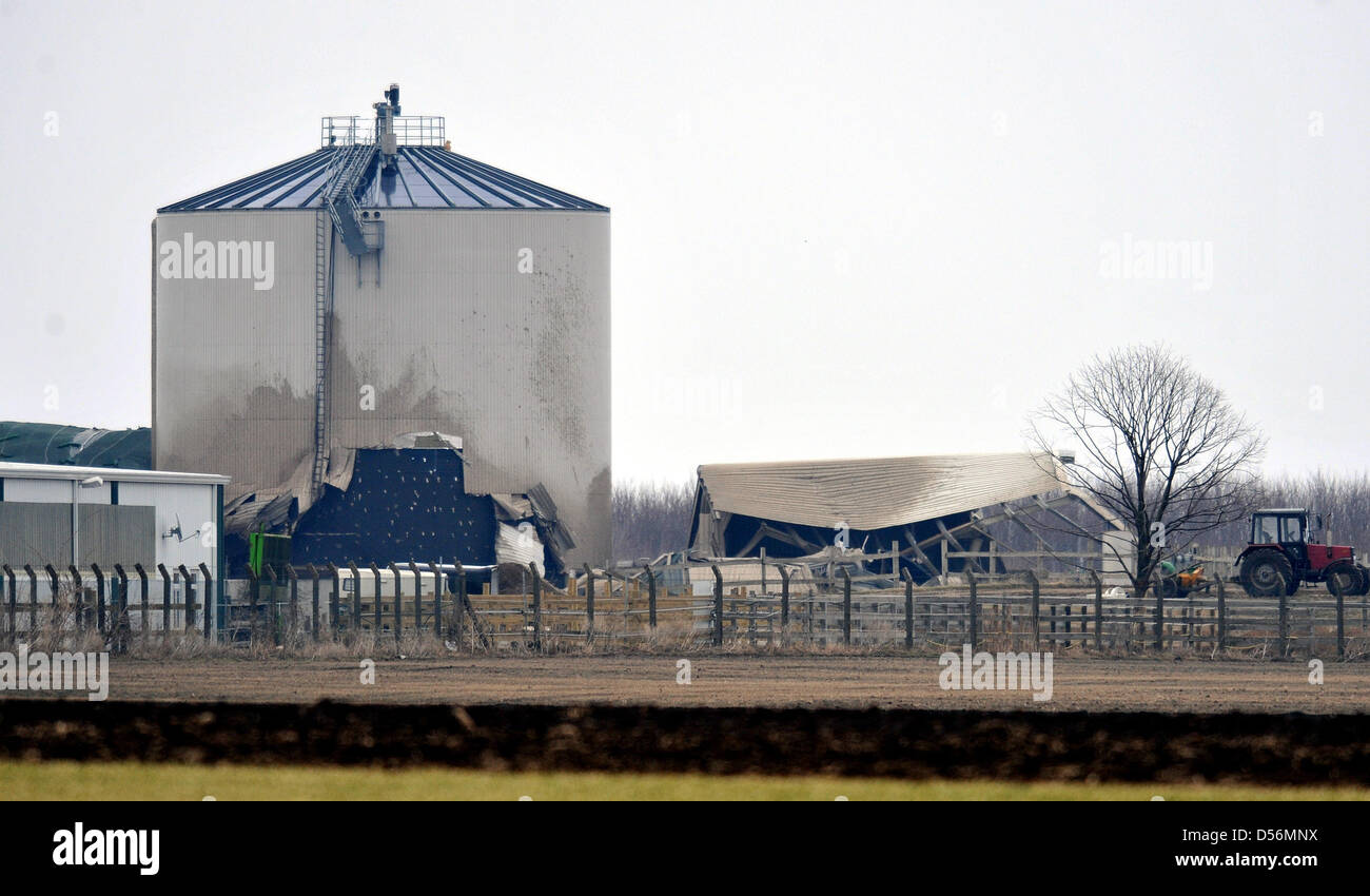 Das beschädigte Schwein Zuchtstation in Grosskayna, Deutschland, 14. März 2010 abgebildet. Rund 14,000 Kubikmeter Gülle ausgelaufen auf zwei bis drei Quadratkilometern. Die genauen Gründe für den Austritt ist noch nicht untersucht werden. Foto: Hendrik Schmidt Stockfoto