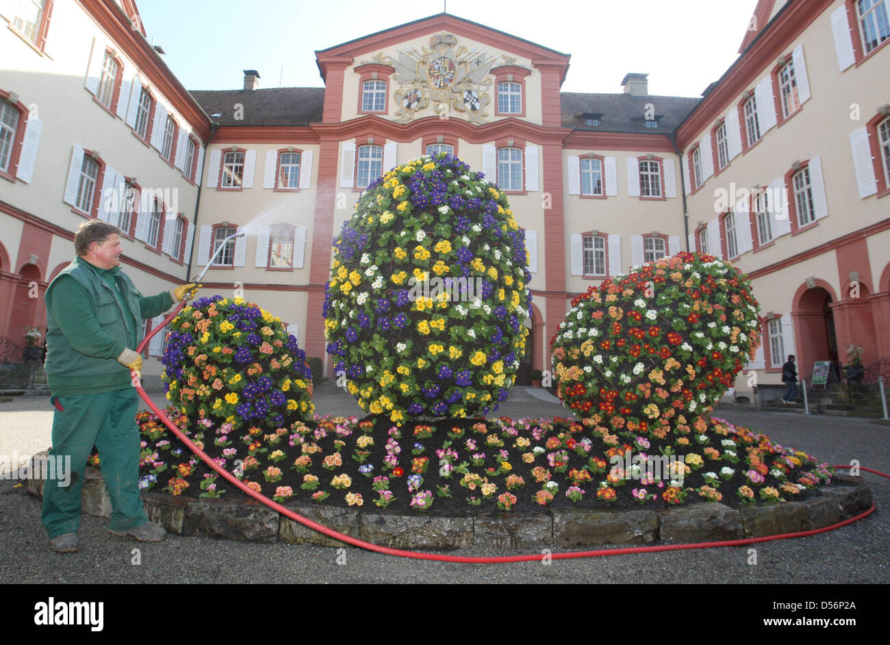 Ein Gärtner Gewässern eiförmigen Blume Büsche auf der Insel Mainau bei Konstanz, Deutschland, 18. März 2010. Die Mainau Blume Jahr 2010 wurde im Rahmen einer Presseveranstaltung offiziell eröffnet. Foto: KARL-JOSEF HILDENBRAND Stockfoto