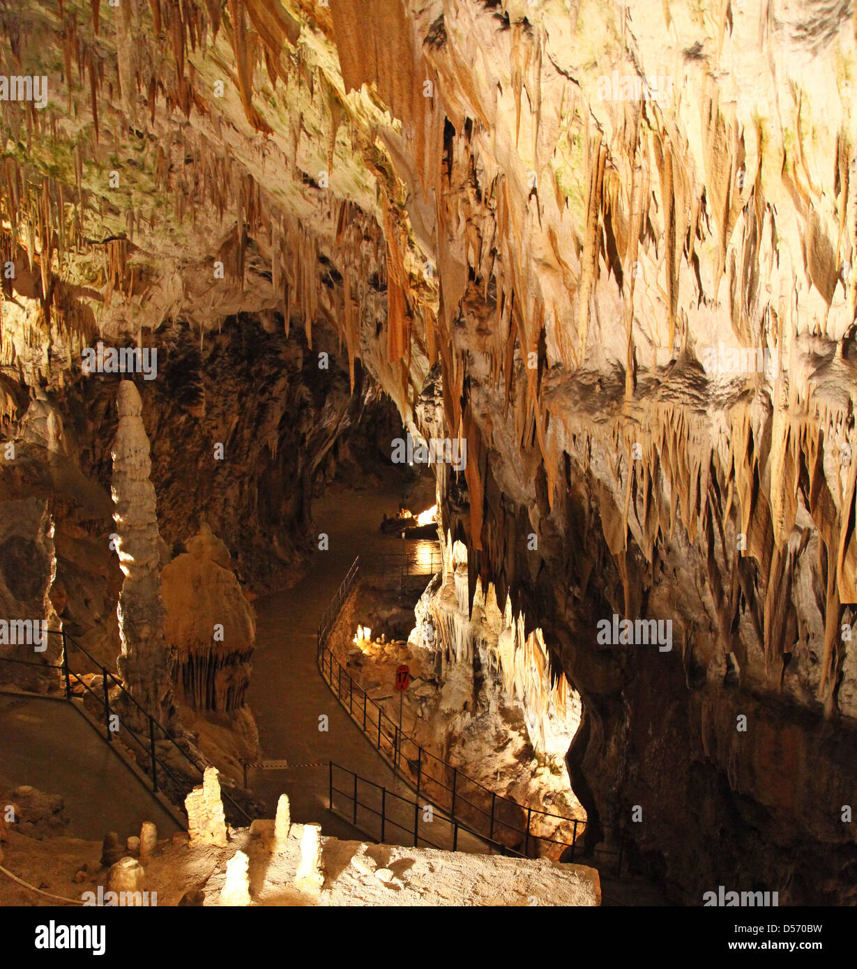 Stalaktiten und Stalagmiten in Höhlen von Postojna Slowenien Stockfoto