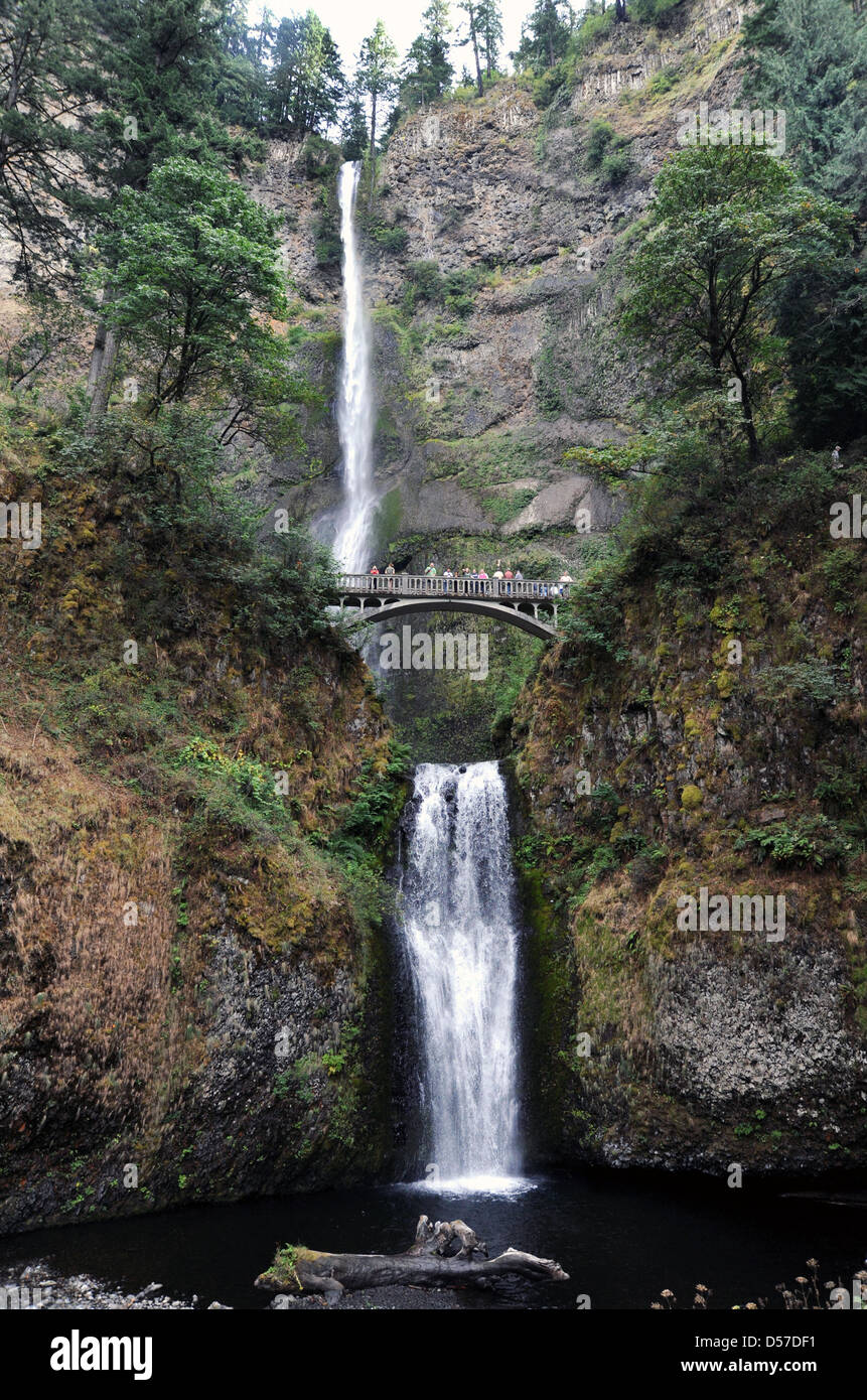 Multnomah Falls 620 Füßen Hight Columbia River Gorge Multnomah County Oregon, USA, Stockfoto