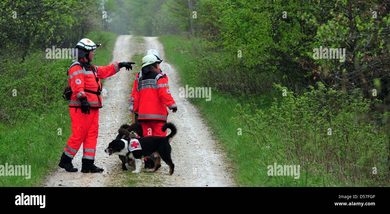 Die Rescue Dog Squad des Deutschen Roten Kreuzes suchen Hinweise an der Entführung von Maria B. in einem Wald in der Nähe von Heidenheim-Schnaitheim, Deutschland, 14. Mai 2010. Am 12. Mai 2010 war Maria B., die Ehefrau des Direktors des deutschen Sparkasse, entführt. Kurz nach ihrem verschwinden erhielt ihr Mann ein Lösegeld verlangen. Obwohl die Entführer erfüllt wurden, Lösegeld mo Stockfoto