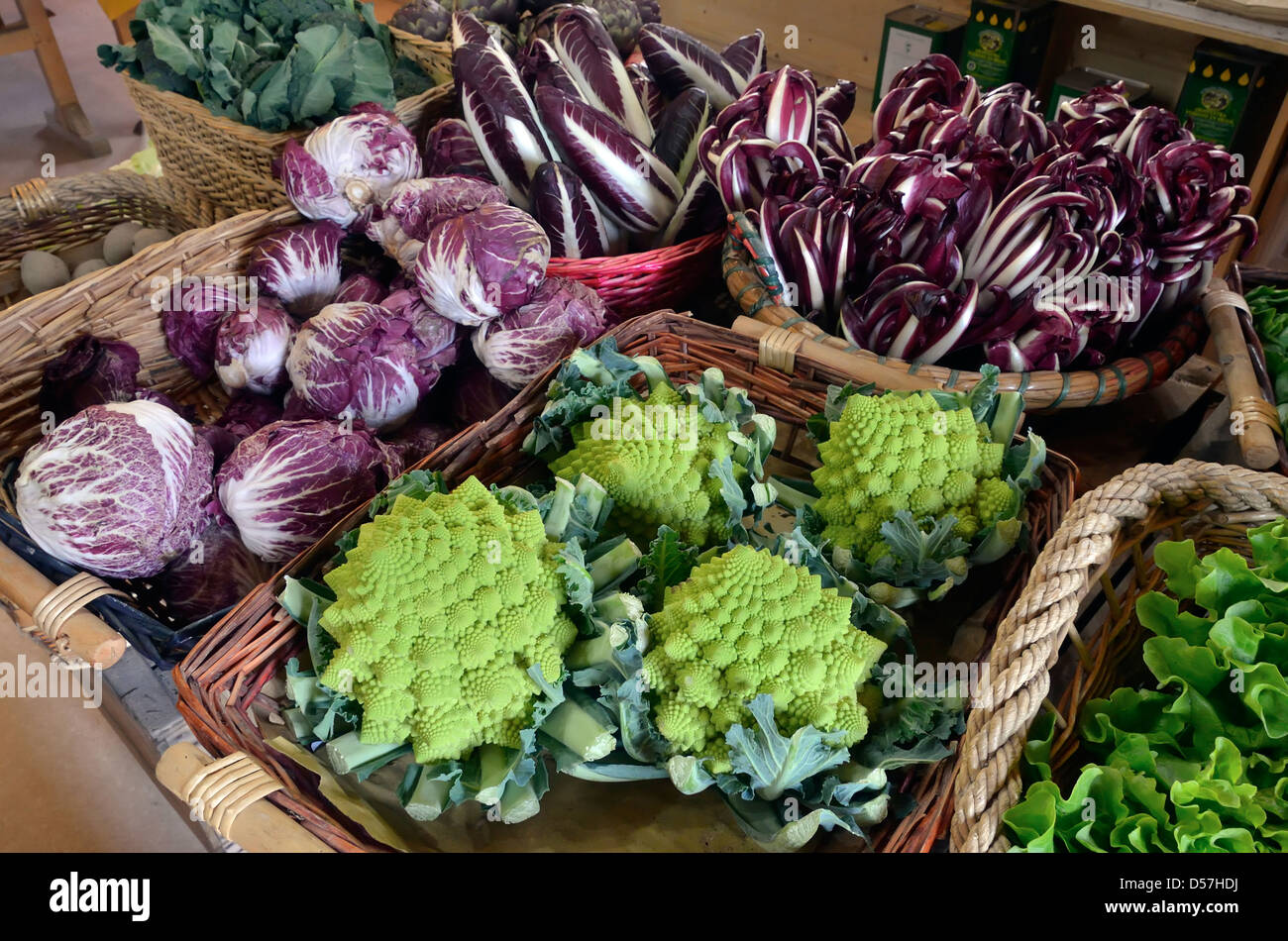 Frisches Gemüse in einem Geschäft in Ferrara, Italien. Stockfoto