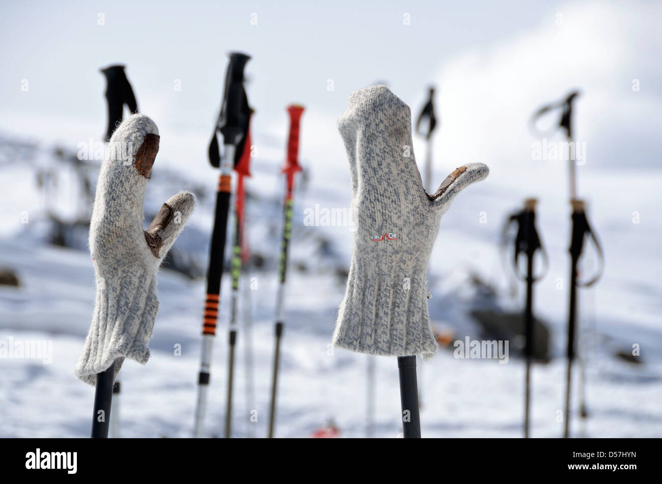 Wolle Handschuhe auf Ski-Stöcke, Atztaler Alpen, Italien. Stockfoto