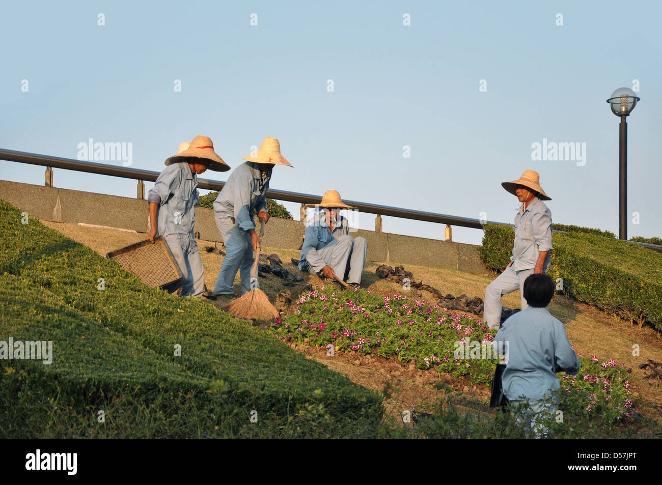 Chinesische Gärtner bei der Arbeit in einem öffentlichen Park - Shanghai, China Stockfoto
