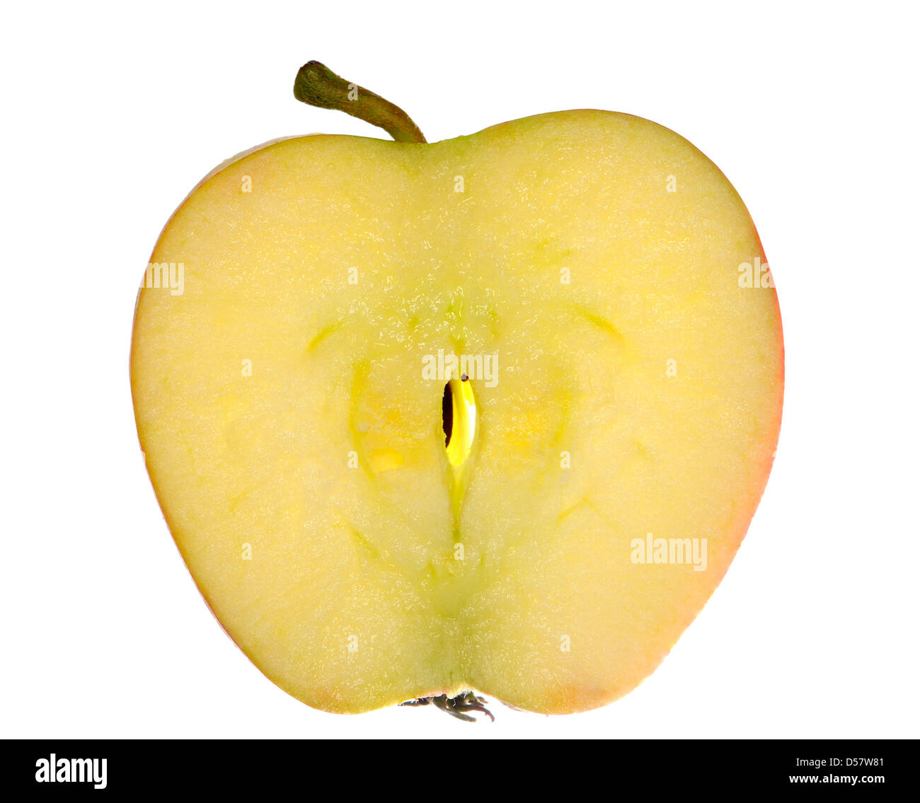 Dünne Scheibe des Apfels Stockfoto