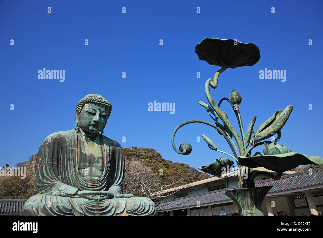 Japan, Präfektur Kanagawa, der große Buddha von Kamakura Stockfotografie Alamy