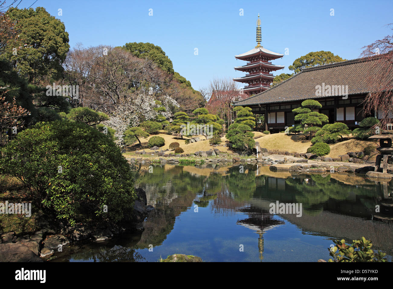 Japan, Tokyo, Asakusa, Senso-Ji Tempel (Asakusa Kannon Tempel) Garten Stockfoto