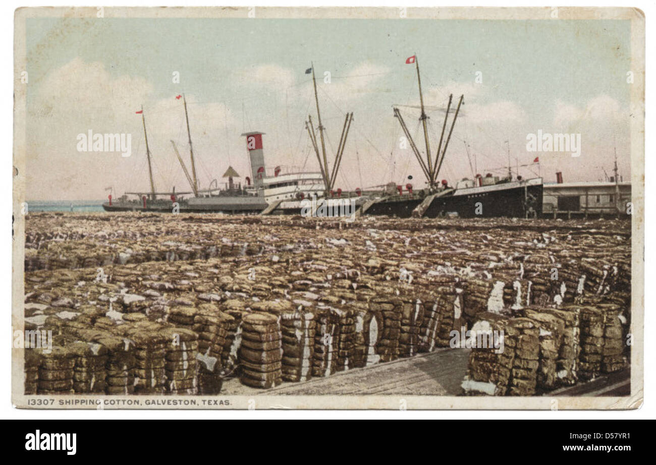 Versand Baumwolle, Galveston, Texas. Stockfoto