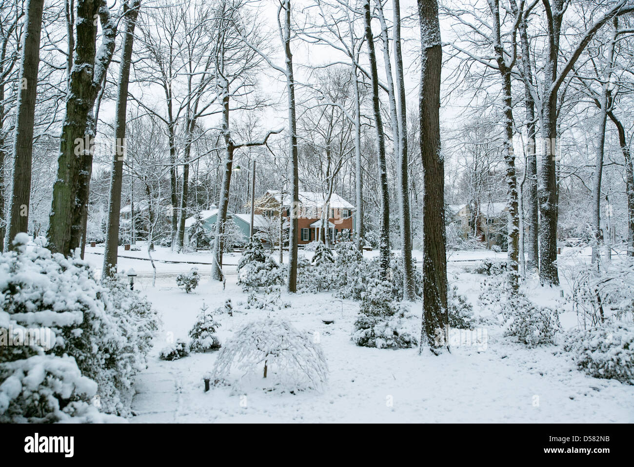 Suruban Winter-Schnee-Szene, USA. Stockfoto