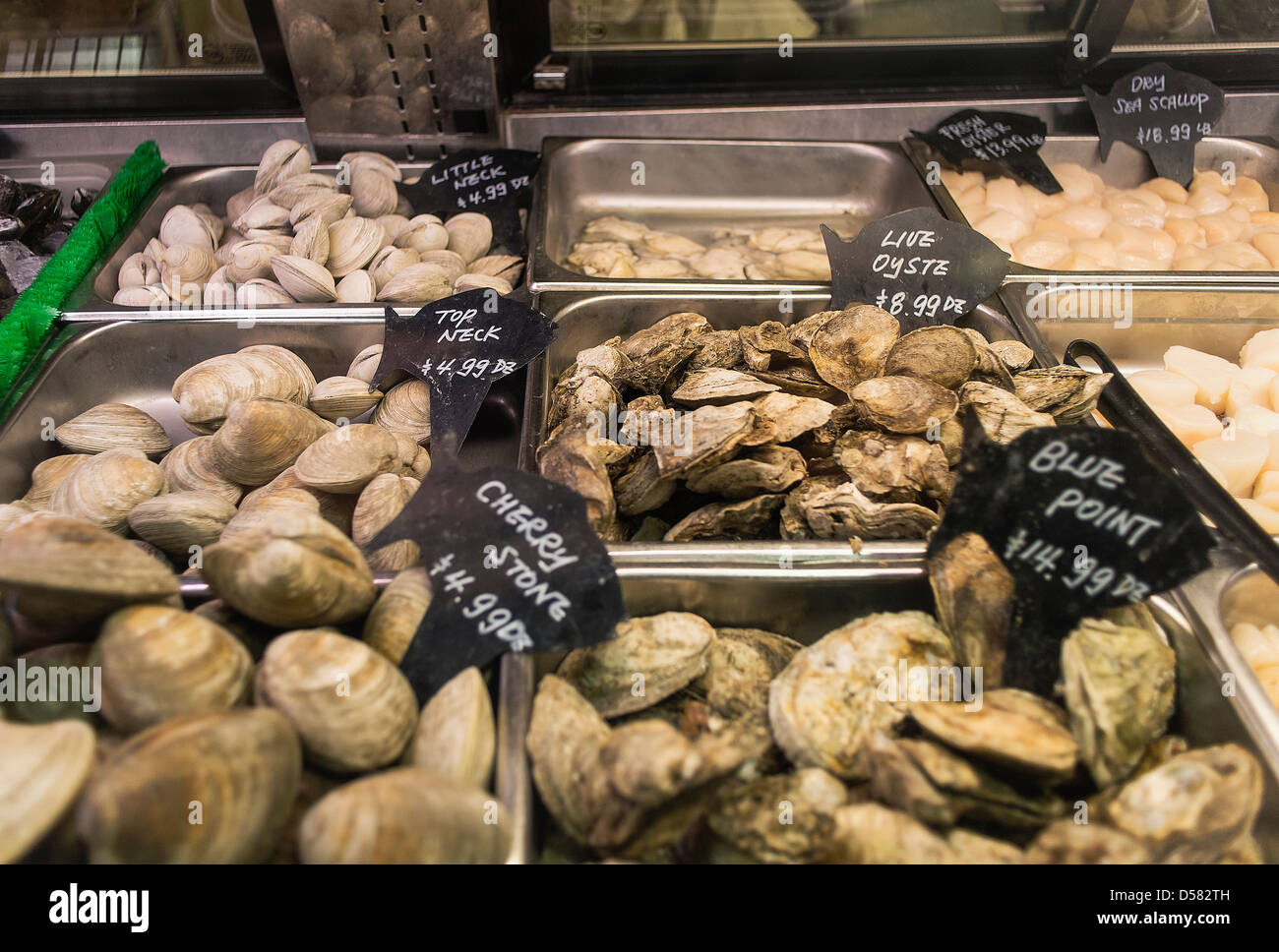 Muscheln anzeigen auf einem Fischmarkt Stockfoto