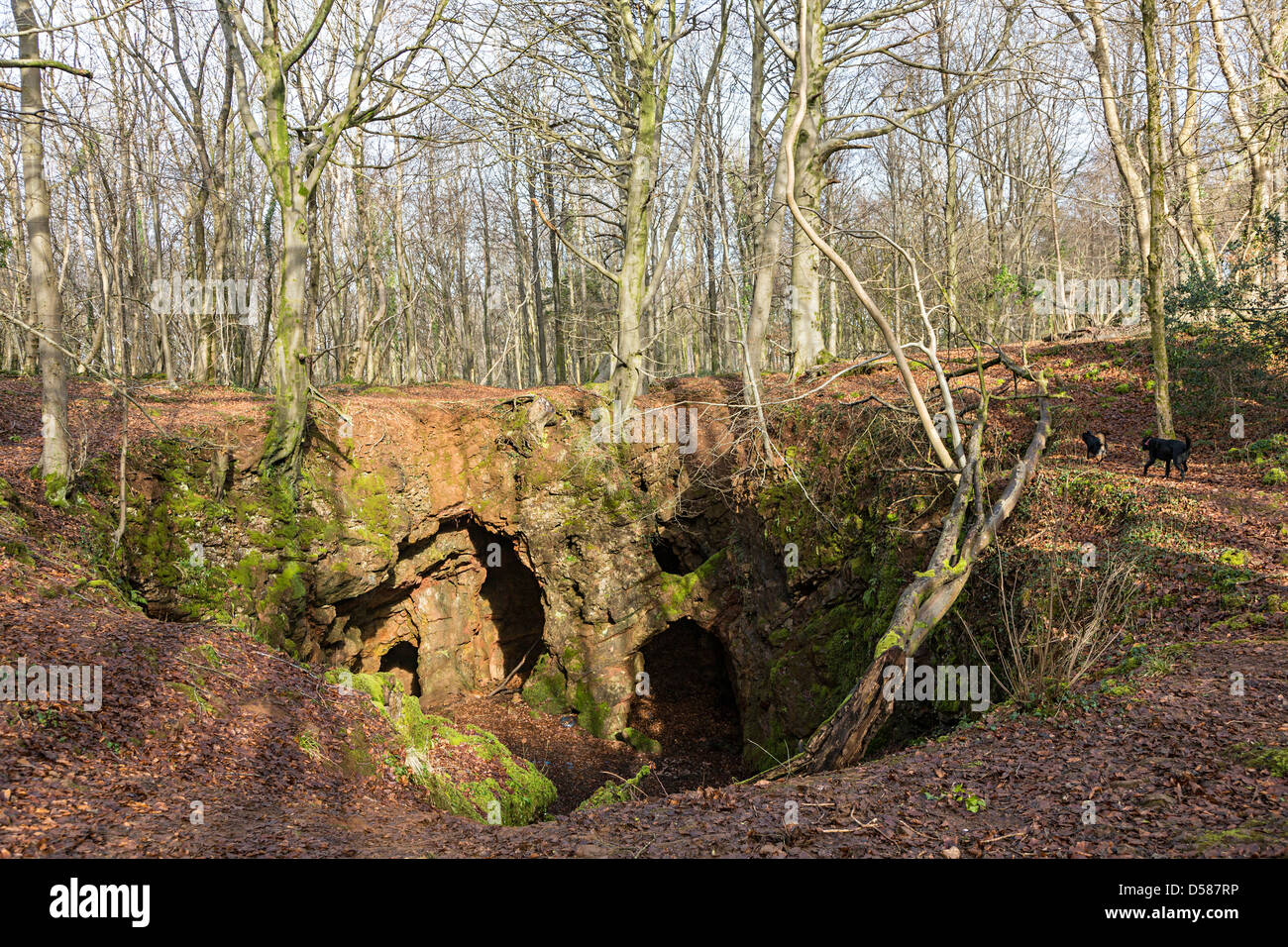 Eingang zum alten Eisenerzmine bekannt als drei Bären Höhle Fforest Fawr Wales UK Stockfoto