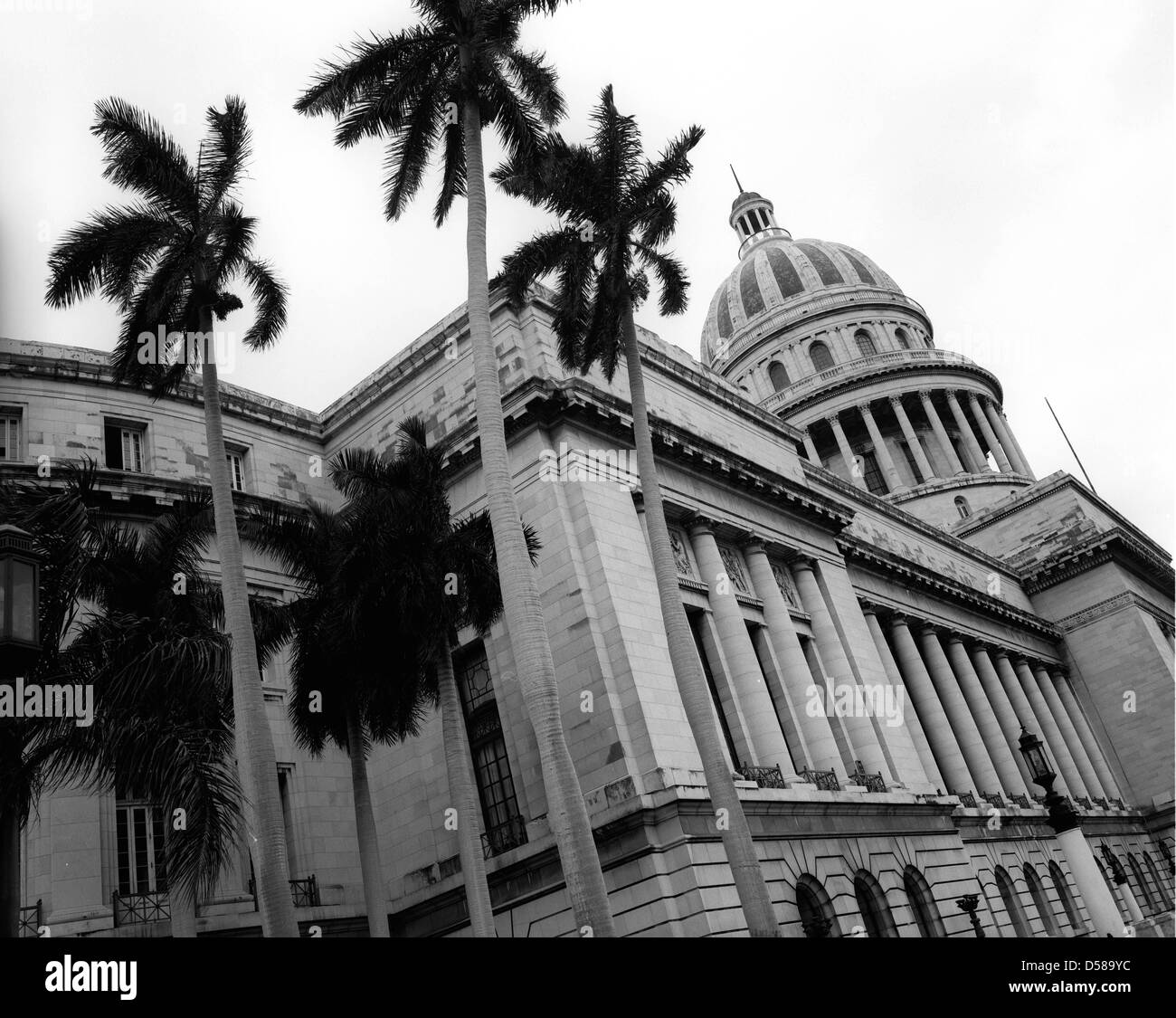 28. März 2006 - Havanna, Kuba - Capitol building in Zentral-Havanna. Die Republik Kuba befindet sich in der nördlichen Karibik. Der erste Europäer, Kuba zu besuchen war Entdecker Kolumbus im Jahre 1492. Jahrhunderte der Kolonialherrschaft und Revolutionen gefolgt. Kuba handelt derzeit mit fast jeder Nation in der Welt, wenn auch mit Einschränkungen durch das US-Embargo. Handel mit den USA beschränkt sich auf nur-Cash-Transaktionen für Nahrung und Medizin. Historisch, Zucker, Tabak und Nickel waren die Haupteinnahmequellen Außenhandel für Kuba, aber in den 1990er Jahren Tourismus sah ein explosives Wachstum. (Kredit-Bild: © Ruar Stockfoto