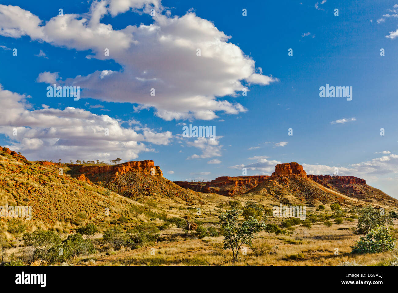 Australien, Western Australia, Kimberley, Great Northern Highway in der Nähe von Fitzroy Crossing Stockfoto