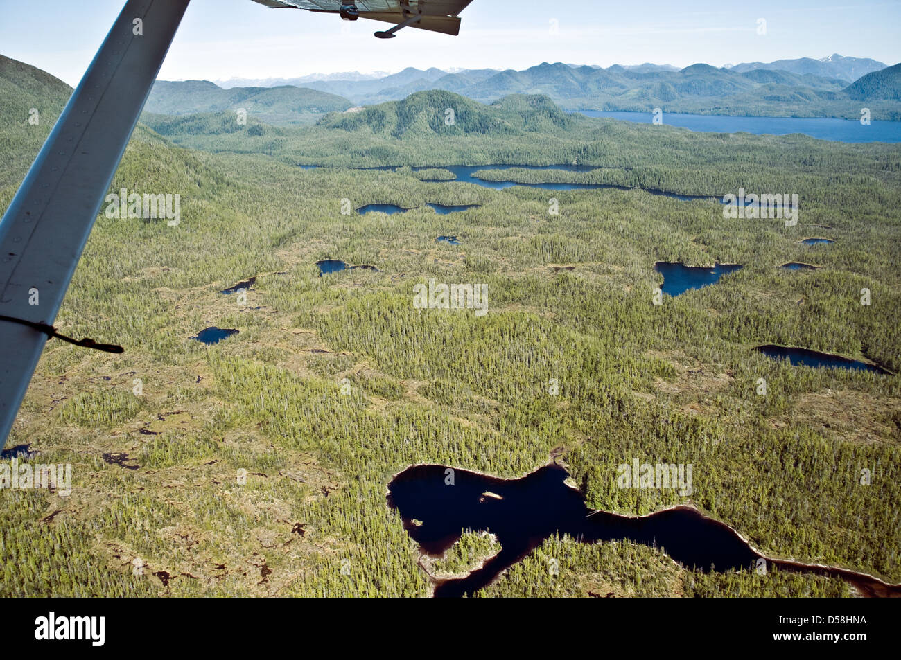 Eine Luftaufnahme von sumpfigen, wasserdurchnäßten Sumpfgebieten und Bergen im Great Bear Rainforest, an der zentralen Pazifikküste von British Columbia, Kanada. Stockfoto