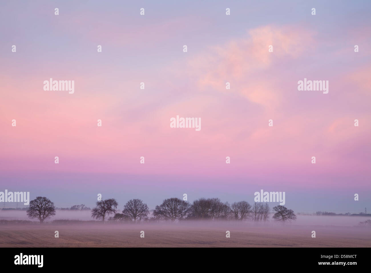 Morgendämmerung in der Yorkshire Wolds in der Nähe von Stamford Bridge, East Yorkshire. Stockfoto