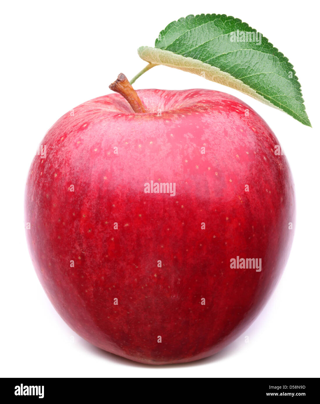 Roter Apfel mit Blatt auf einem weißen Hintergrund. Stockfoto