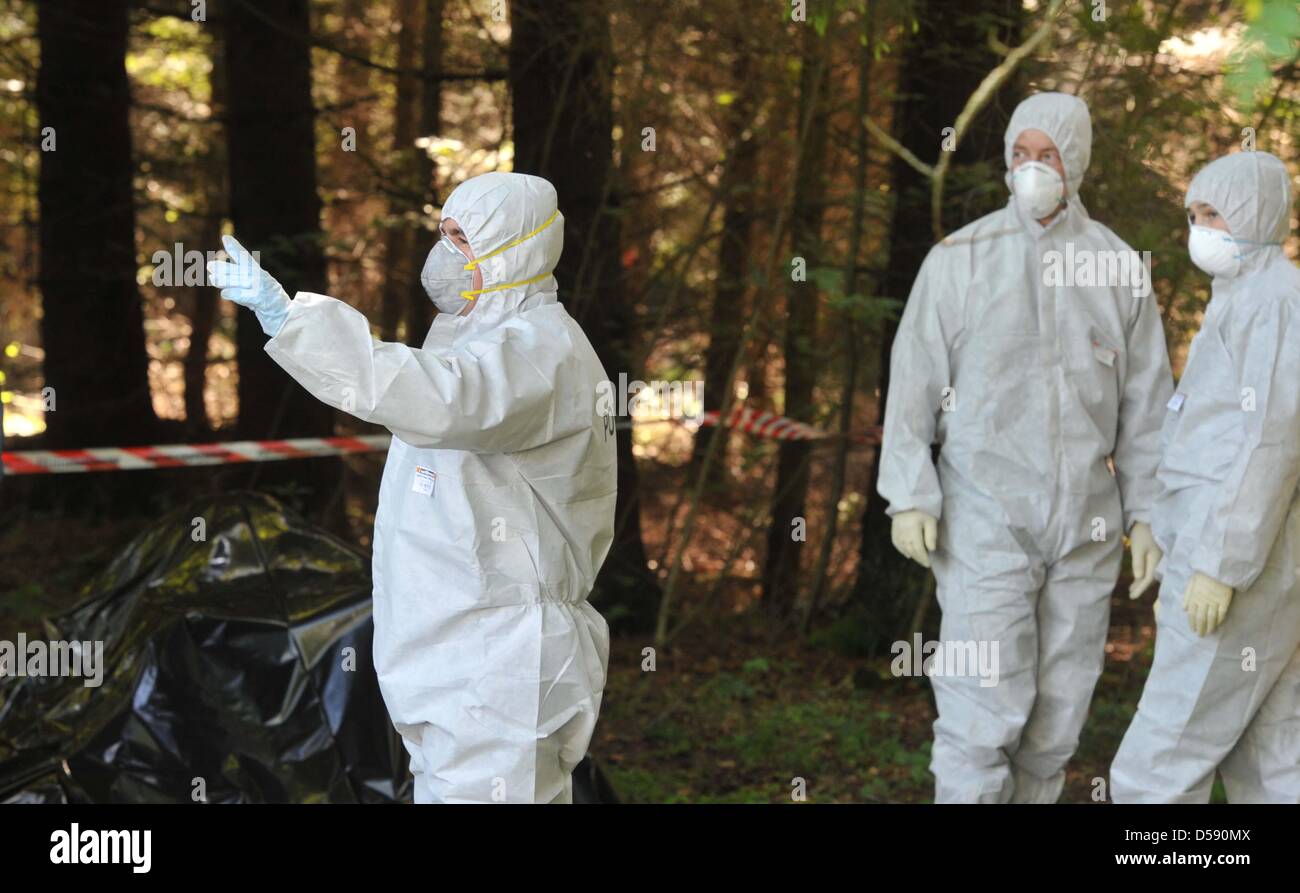 Polizisten stehen in einem Wald in der Nähe von Heidenheim-Nietheim, Deutschland, 4. Juni 2010. Am 03. Juni fand ein Spaziergänger mit Hund die Leiche einer Frau an diesem Ort, nicht weit von wo die Übergabe der Lösegeld für den entführten Maria Boegerl am 12. Mai 2010 gescheitert war. Eine Autopsie durchgeführt auf den Körper wird die Identität klar. Foto: STEFAN PUCHNER Stockfoto