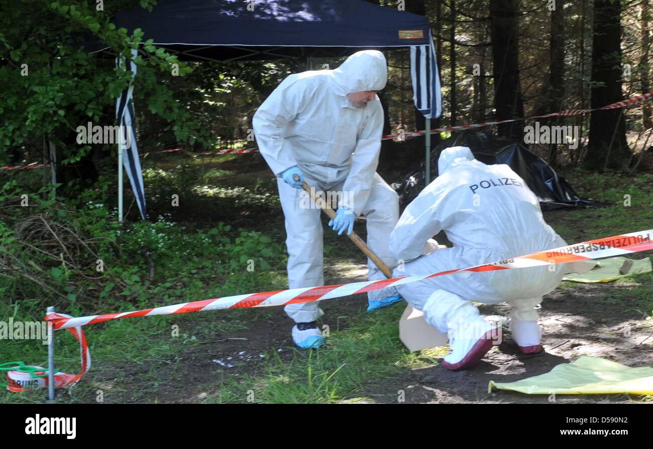 Polizeibeamte untersuchen den Waldboden in einem Wald in der Nähe von Heidenheim-Nietheim, Deutschland, 4. Juni 2010. Am 03. Juni fand ein Spaziergänger mit Hund die Leiche einer Frau an diesem Ort, nicht weit von wo die Übergabe der Lösegeld für den entführten Maria Boegerl am 12. Mai 2010 gescheitert war. Eine Autopsie durchgeführt auf den Körper wird die Identität klar. Foto: STEFAN PUCHNER Stockfoto